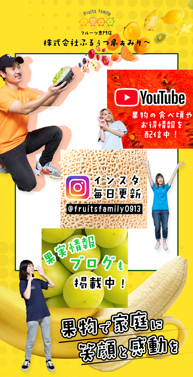フルーツ村 EASTBEE フルーツカクテル 840g ( 固形量500g / 黄桃 / 洋梨