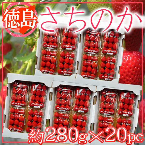 ふるぅつふぁみり～ / 徳島県産 さちのか 1パック約280g×20