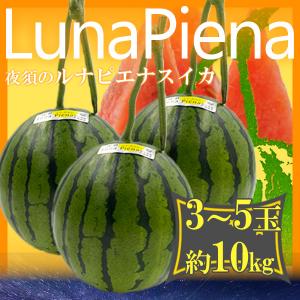 高知県産　ルナピエナ3-5玉　約10kg