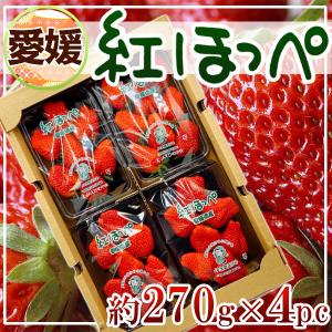 愛媛県産　紅ほっぺ　約270g×4パック