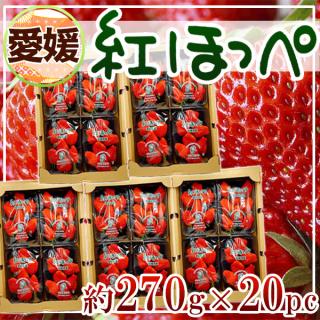 愛媛県産　紅ほっぺ　約270g×20パック