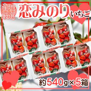 産地厳選　恋みのり　10パック　1パック約270g　【予約　3月中旬以降】
