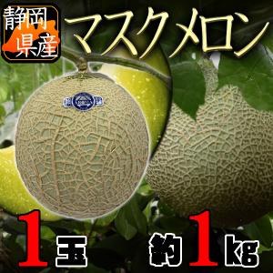 静岡県産マスクメロン1玉　約1kg　