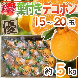 熊本県産　葉付きデコポン　15〜20玉　約5kg　優品