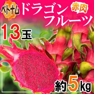 ベトナム産　ドラゴンフルーツ　赤肉　13玉　約5kg