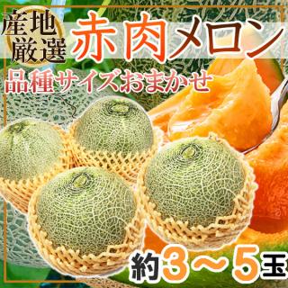 産地厳選　赤肉メロン　品種サイズおまかせ　約3～5玉　※クール便発送