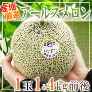 産地厳選　アールスメロン　1玉約1.4kg前後　※クール便発送