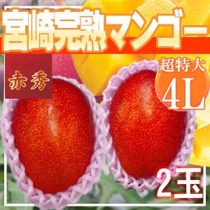 宮崎県産　完熟マンゴー 4L　2玉　1玉約510g以上　赤秀　※クール便発送