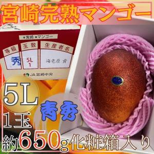 宮崎県産　完熟マンゴー　1玉　5L　約650g　化粧箱入り　青秀　※クール便発送