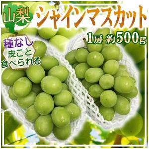 山梨県産　シャインマスカット　約500g×2房　※クール便発送