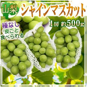 山梨県産　シャインマスカット　約500g×3房　※クール便発送