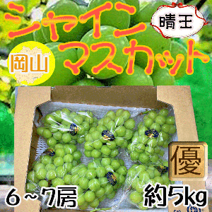 岡山県産 晴王　6～7房　約5㎏　優品　 ※クール便発送