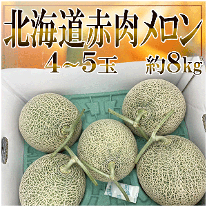 北海道産　赤肉メロン　4～5玉　約8㎏