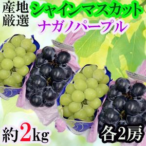 産地厳選シャインマスカット&ナガノパープル　各2房　約2kg　※クール便発送
