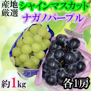 産地厳選　シャインマスカット&ナガノパープル　各1房 　総重量約1㎏　クール便発送