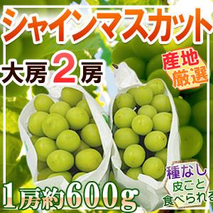 産地厳選　シャインマスカット　2房　1房約600g　※クール便発送