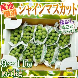 産地厳選　シャインマスカット　9～11房　約5㎏　※クール便発送