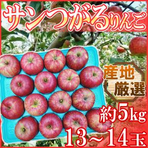 産地厳選　サンつがるりんご　13～14玉　約5㎏