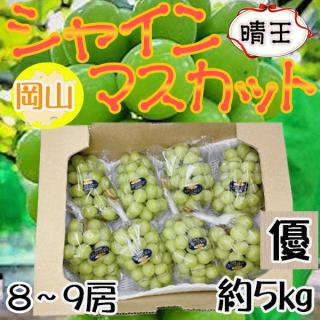 岡山県産 晴王　8～9房　約5㎏　優品　 ※クール便発送