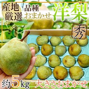 産地厳選　洋梨　品種、大きさおまかせ　約5kg