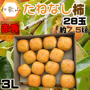 和歌山県産　種無し柿　3L　28玉　約7.5㎏　赤秀