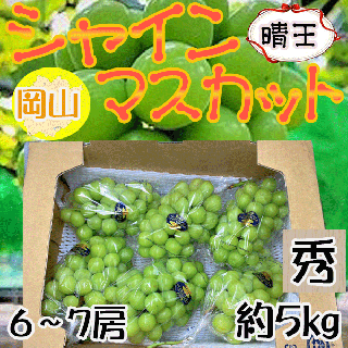 岡山県産 晴王　6～7房　約5㎏　秀品　 ※クール便発送