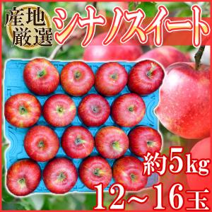 産地厳選　シナノスイート　12～16玉　約5kg