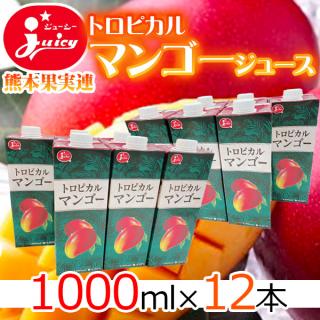 熊本県産　トロピカルマンゴージュース　12本