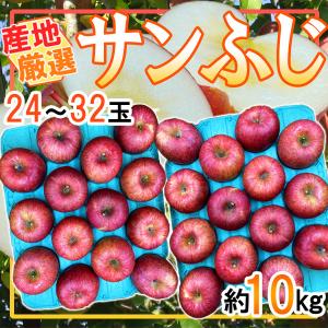 産地厳選　サンふじ　24～32玉　約10㎏　クール便発送