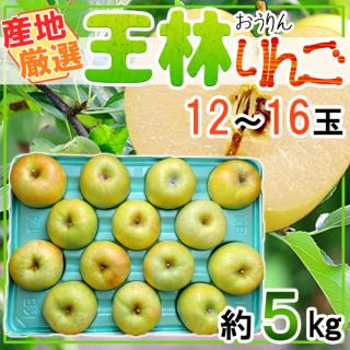 産地厳選　王林りんご　12～16玉　約5kg
