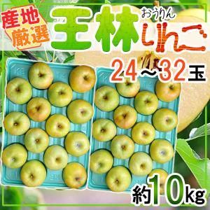 産地厳選　王林りんご　24～32玉　約10kg