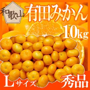 和歌山県産　有田みかん　L　約10㎏