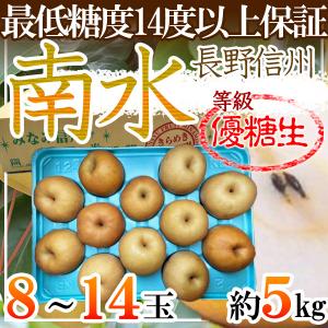 長野県産　南水梨　8〜14玉　約5kg　優糖生
