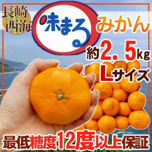 長崎県産　味まるみかん　Lサイズ　約2.5㎏　秀品