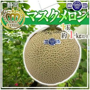 静岡県産　マスクメロン　1玉　約1kg以上