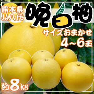 熊本県産　晩白柚　サイズおまかせ　4～6玉　1玉約1.2kg以上